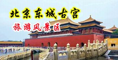WWW,86e,cme中国北京-东城古宫旅游风景区